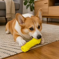 Jouet à mâcher interactif en caoutchouc couineur, durable, classique/moderne pour chien, jouet osseux pour le nettoyage dentaire, disponible