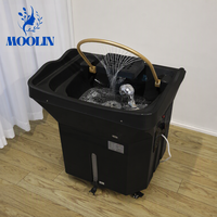 MOOLIN Bac à shampoing mobile pour salon de beauté, lavabo portable avec réservoir d'eau, évier à shampoing multifonctionnel à circulation d'eau