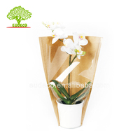 Manchon transparent en papier kraft BOPP pour couvrir les pots, idéal pour emballer les fleurs et légumes frais - Recyclable, personnalisable, impression typographique