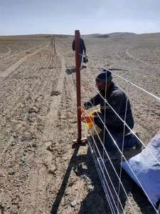 รั้วลวดตาข่ายสานสูง 0.8-2 เมตร สำหรับปศุสัตว์ ชุบกัลวาไนซ์แบบจุ่มร้อน ป้องกันสนิม สำหรับฟาร์มปศุสัตว์ - Product Image 5