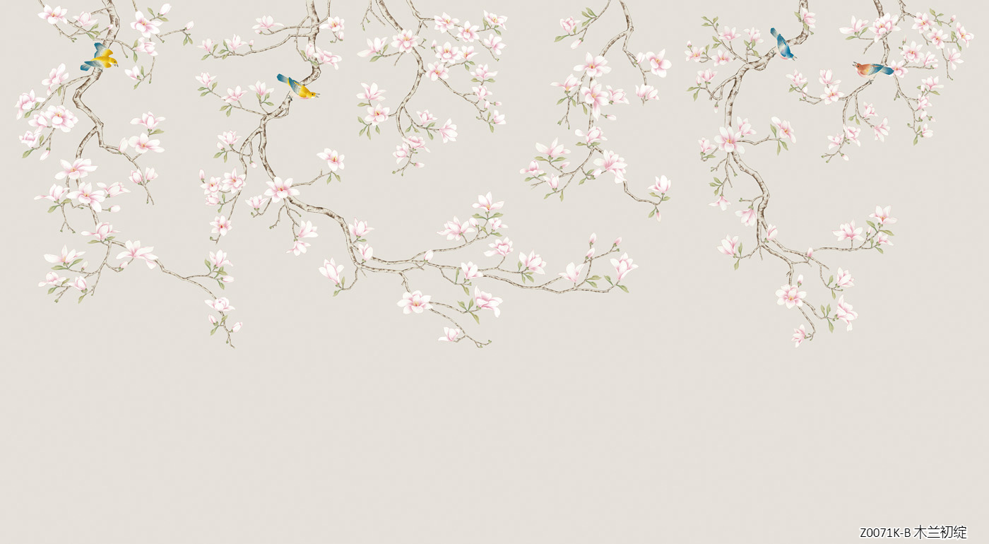 Z0071K-B    Z0071K-B