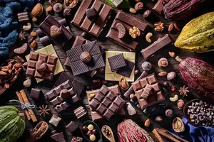 <span class=keywords><strong>Polvo</strong></span> de <span class=keywords><strong>Cacao</strong></span> Alcalinizado <span class=keywords><strong>en</strong></span> Venta, Extracto de Semillas, Grado A+, 99%, Envasado al Vacío <span class=keywords><strong>en</strong></span> Tambor de 25 kg, <span class=keywords><strong>Polvo</strong></span> de <span class=keywords><strong>Cacao</strong></span> a Granel - Product Image 3