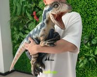 Marionnette de dinosaure bébé animatronique Velociraptor, marionnette réaliste à vendre