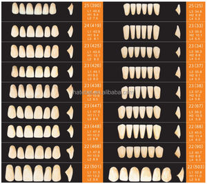 CE/ISO Set gigi sintetis gigi, Multi corak mulut penuh akrilik ukuran Normal gigi - Product Image 4