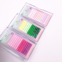 Extensions de cils en soie de couleur mate, étiquette privée, volume, fournitures d'extensions de cils colorées