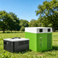 Station d'alimentation portable d'extérieur 60Hz Batterie LiFePO4 Coque métallique Norme EU US