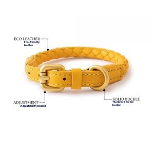 Venta al por mayor personalizado perro <span class=keywords><strong>collar</strong></span> Correa conjunto de cuero trenzado mascota cuerda para caminar cintas de moda para perros pequeños medianos - Product Image 2