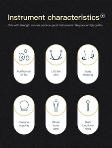 Appareil de thérapie par radiofréquence, LED et ondes sonores haute fréquence SD-126 de haute qualité, anti-âge et amincissant. - Product Image 2