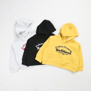 Custom Color Solid Color Autumn and Winter <strong>Hoodies</strong> for Kids 2-12 Kids <strong>Oversized</strong> Kids Sweatshirt with Custom logo Printed - Product Image 6