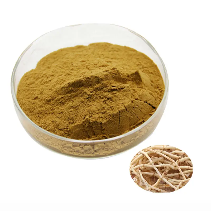 عشب طبيعي تقليدي Houttuynia Cordata Extract Powder10:1
