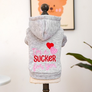 Abbigliamento <span class=keywords><strong>per</strong></span> Animali Domestici, Nuova Felpa con Cappuccio Ricamata 'Little Champion' <span class=keywords><strong>per</strong></span> Cani e Gatti, Calda e Confortevole, Autunno Inverno - Product Image 4