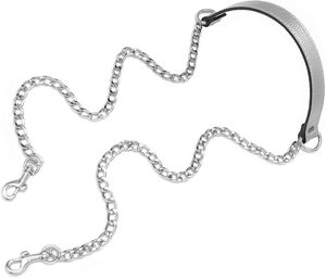 Chaîne de remplacement Vanenjoy en cuir véritable, bandoulière en métal argenté - Product Image 1