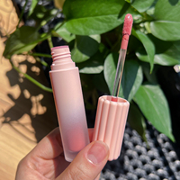 Gloss à lèvres rose à haute pigmentation, personnalisé, non collant, maquillage végétalien, hydratant, repulpant, tubes vides