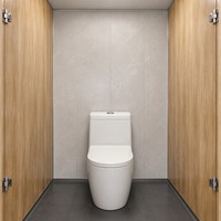 Toilettes mobiles en conteneur de 20 pieds, panneaux sandwich préfabriqués, étanches et portables, pour chantier de construction et parc public