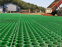 Grilles de paillage en HDPE et PP pour enclos équestres, stabilisation du gravier, renforcement du sol, drainage, pavés pour gazon