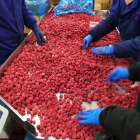 Chinese Fruit Verschillende Soorten Iqf Vruchten Bevroren Voedsel Neo Fd Raspberry Fruit Iqf Bevroren Frambozen Bulk