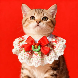 Pañuelo de Navidad para mascotas, bufanda cálida de felpa para gatos y perros, accesorio para festivales de invierno, patrón de cuadros de colores - Product Image 3
