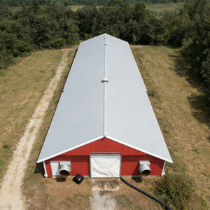 בית כלוב עוף שכבה אוטומטית בית עבור חוות עופות, חם לטבול מגולוון, גודל מותאם אישית זמין, משלוח מהיר - Product Image 5