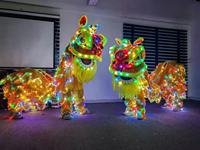 Costume de danse du lion du sud de la Chine lumineux à LED RGB, rechargeable, pour spectacle de Nouvel An et carnaval