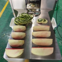 DQ Guangzhou Daqiao Industriële Geïntegreerde Watermeloen Schil- en Snijmachine Set Automatisering Fruitverwerkingsapparatuur