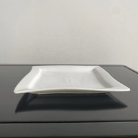 Assiette de Présentation en Porcelaine Irrégulière de 15 cm, Blanche Plate, pour Hôtel, Faible MOQ, Vente Directe Usine