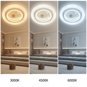 Zarif LED Tavan Lambası Kış Kar Tanesi Motifi Ana Yatak Odası İçin Premium Kalite Dekor Trend Toptan Satış - Product Image 2