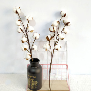 Wholesale Dried Flower Branches Handmade 10 Heads <strong>Cotton</strong> <strong>Stems</strong> for DIY Event Party Decorations - Product Image 2