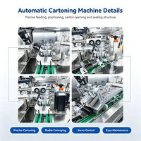 Ligne d'emballage automatique aseptique pour boîtes de lait en carton, petite machine de remplissage et d'emballage de jus de fruits en carton de 125 ml, 200 ml, 500 ml