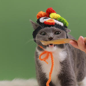 Handmade Crochet Turquia <span class=keywords><strong>Pet</strong></span> <span class=keywords><strong>Hat</strong></span> Halloween New <span class=keywords><strong>Pet</strong></span> Acessório Engraçado Festa Dress-up Cap para Cat & Dog Festival <span class=keywords><strong>Pet</strong></span> Chapelaria - Product Image 2