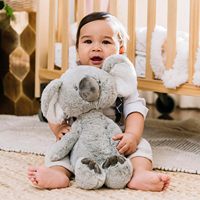Collection de jouets en peluche 12 \ "Shay Koala ours en peluche Animal en peluche Super doux gris blanc porte-clés lavé Technique mignon PP
