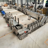 Meestverkochte FCJ volautomatische lijn voor de verwerking van diepvries gemberfrietjes, capaciteit 7200, multifunctioneel voor fruit en groenten