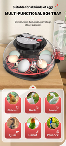 Incubadora de Huevos Multifuncional con Volteador Automático, Probador LED y Pantalla Digital de Humedad <span class=keywords><strong>para</strong></span> Huevos de Aves, Gansos y Patos - Product Image 6