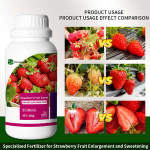 <span class=keywords><strong>Engrais</strong></span> organique hydrosoluble à la fraise, favorise l'augmentation du rendement, l'amélioration de la douceur et l'amélioration de la couleur - Product Image 4