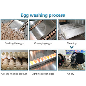 ORME endüstriyel yumurta fırça temizleyici otomatik yumurta yıkayıcı makine ördek yumurta yıkama makinesi - Product Image 3