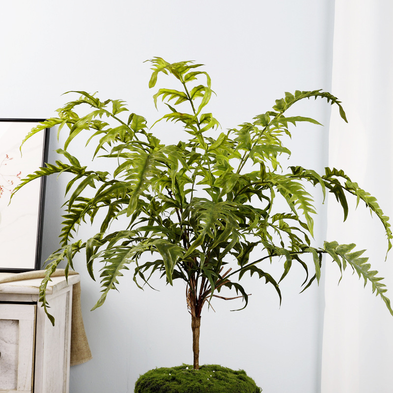 16 feuilles d'herbe persane roulées à la main, H74cm, sans pot.