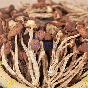 Seta de eficiencia energética Agaricus Bisporus ostra hongo hongos Agrocybe Aegerita Russula máquina deshidratadora - Product Image 5