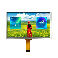 10,1 Zoll 1024x600 IPS Mipi DSI 30-Pin 500cd/m2 Helligkeit TFT LCD Display-Modul