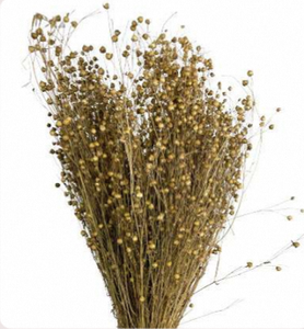 Flor Seca Natural de Lino, Pluma Esponjosa Ecológica de Larga Duración para Decoración de Bodas, Hogar y Eventos - Product Image 1