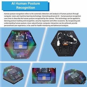 Pantalla Interactiva con IA para Exhibiciones en Museos de Ciencia, con Reconocimiento de Postura por IA, Solución para Centros Educativos y Galerías - Product Image 6