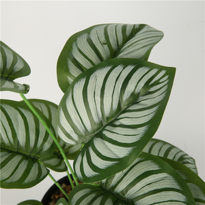 Cây cảnh nhân tạo trang trí trong nhà với chậu nhựa, cây bonsai nhỏ, cỏ nhựa giả, cây cọ nhựa giả - Product Image 2