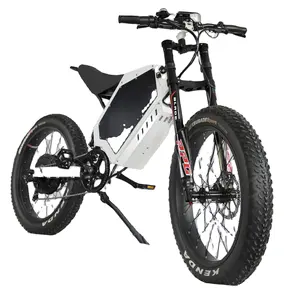 Wholesale Hot Sale adult bike fahrrad 26 inch adult bicycle 3000w 5000w electric fat bike bomber K5 enduro ebike