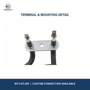 WT-CAT-255 Elemento Calefactor Tubular Espiral Compacto de Acero Inoxidable de 220V 700W Personalizado para Placa Calefactora Eléctrica - Product Image 2