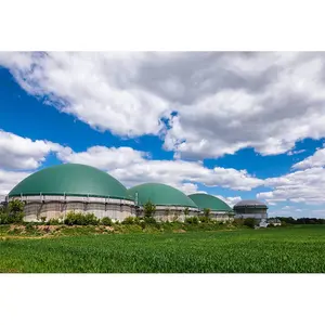 Biogas Vergister Bacteriën Voor Septic Tanks Septic Tank Systeem
