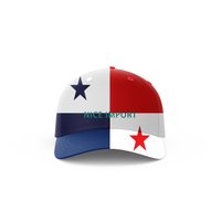 Casquette de baseball avec drapeau du Nigeria pour hommes et femmes, design réglable, idéale pour la randonnée, les voyages, la marche, le camping et les activités de plein air