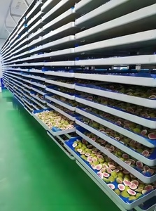 Fabbrica all'ingrosso pura natura liofilizzato fico senza zucchero frutta sana e deliziosa alla rinfusa - Product Image 6