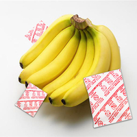 Directo de fábrica 1G 5g Bola púrpura Fruta Vegetal Conservante Etileno Bolsa absorbente KnMO4 Al2O3 Agente Químico Auxiliar