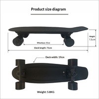 Trottinette tout-en-un à quatre roues pour adultes, skateboard télécommandé, voiture à propulsion simple ou double, pour garçons et filles, 25