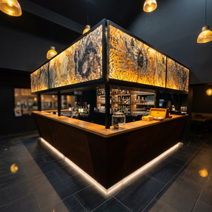 แผ่นหินวีเนียร์โปร่งแสง/แผ่นควอตซ์ไซต์วีเนียร์ ยี่ห้อ Flatstone Designs รับประกัน 5 ปี สำหรับผนังและฝ้าเพดานภายในแบบเรืองแสงทันสมัย - Product Image 1