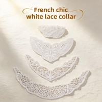 Col en dentelle brodée blanche, applique florale en tulle, patch en dentelle pour encolure, robe, chemisier, décoration de vêtement imperméable, couture DIY