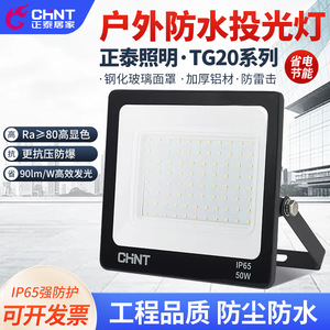 Reflector LED para Exteriores Chnt de 220V, Alta Luminosidad, Impermeable, para Iluminación de Fábricas - Product Image 3